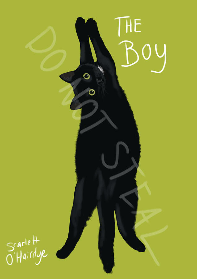 The Boy The Boy